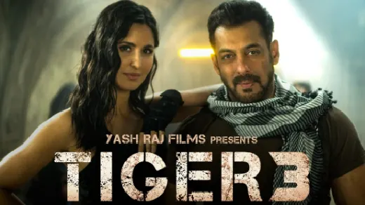 Tiger 3 Movie